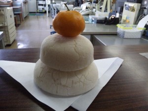 DVC00086