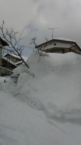 CIMG0037