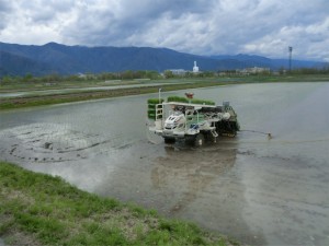 CIMG0113